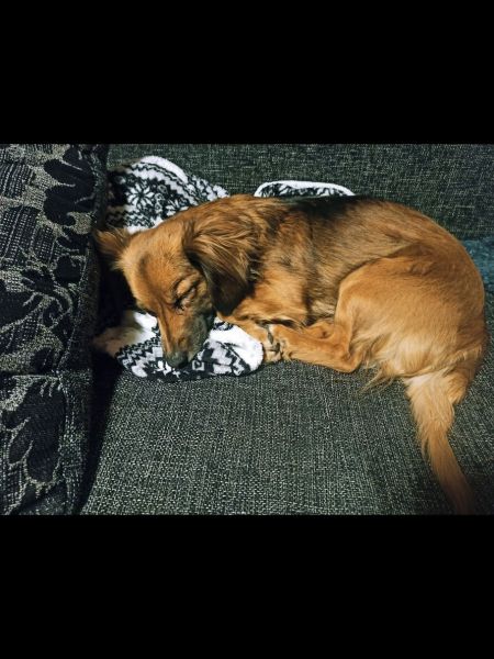 Bella